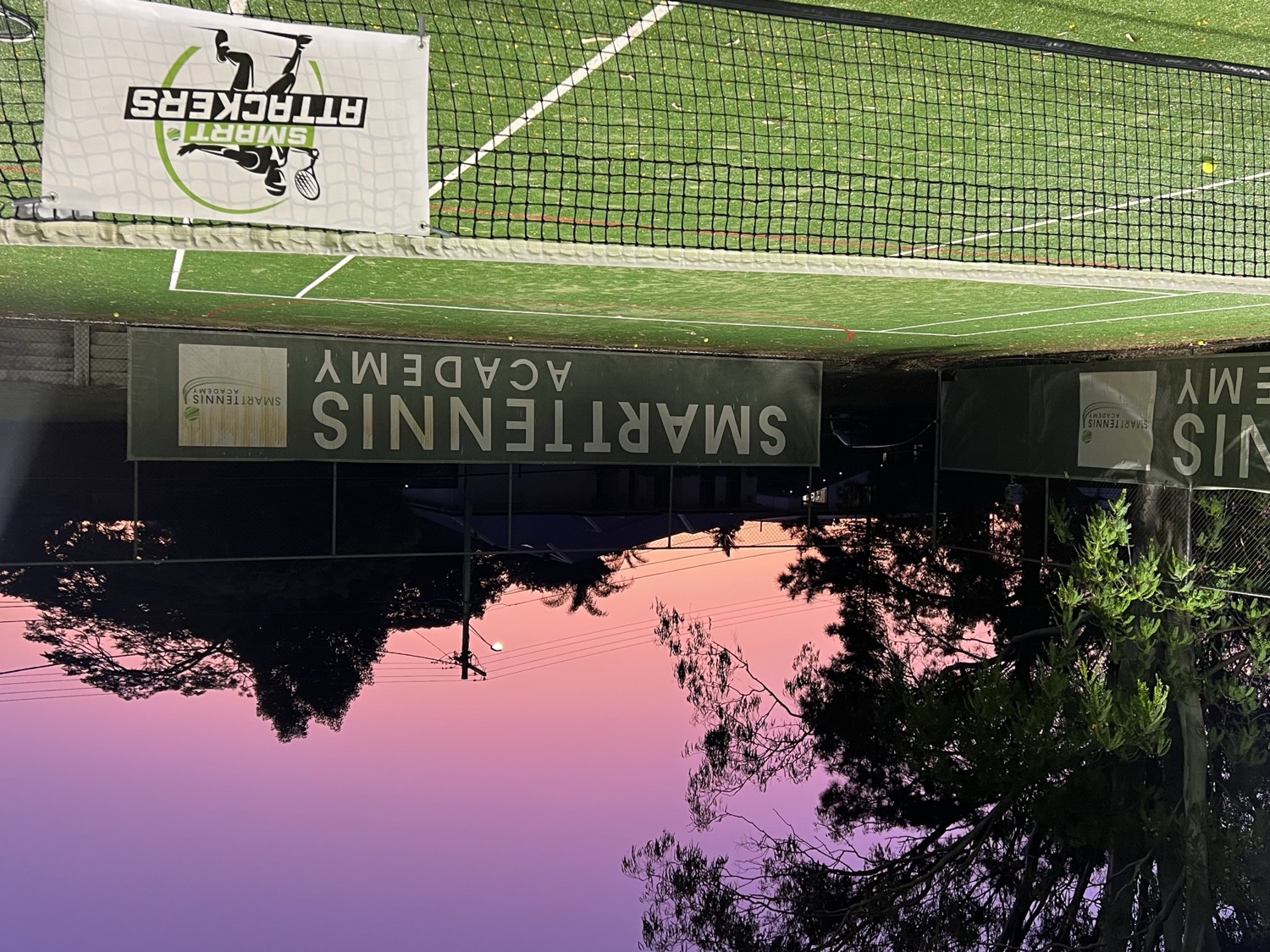Smart Tennis Academy courts at Daisy Hill